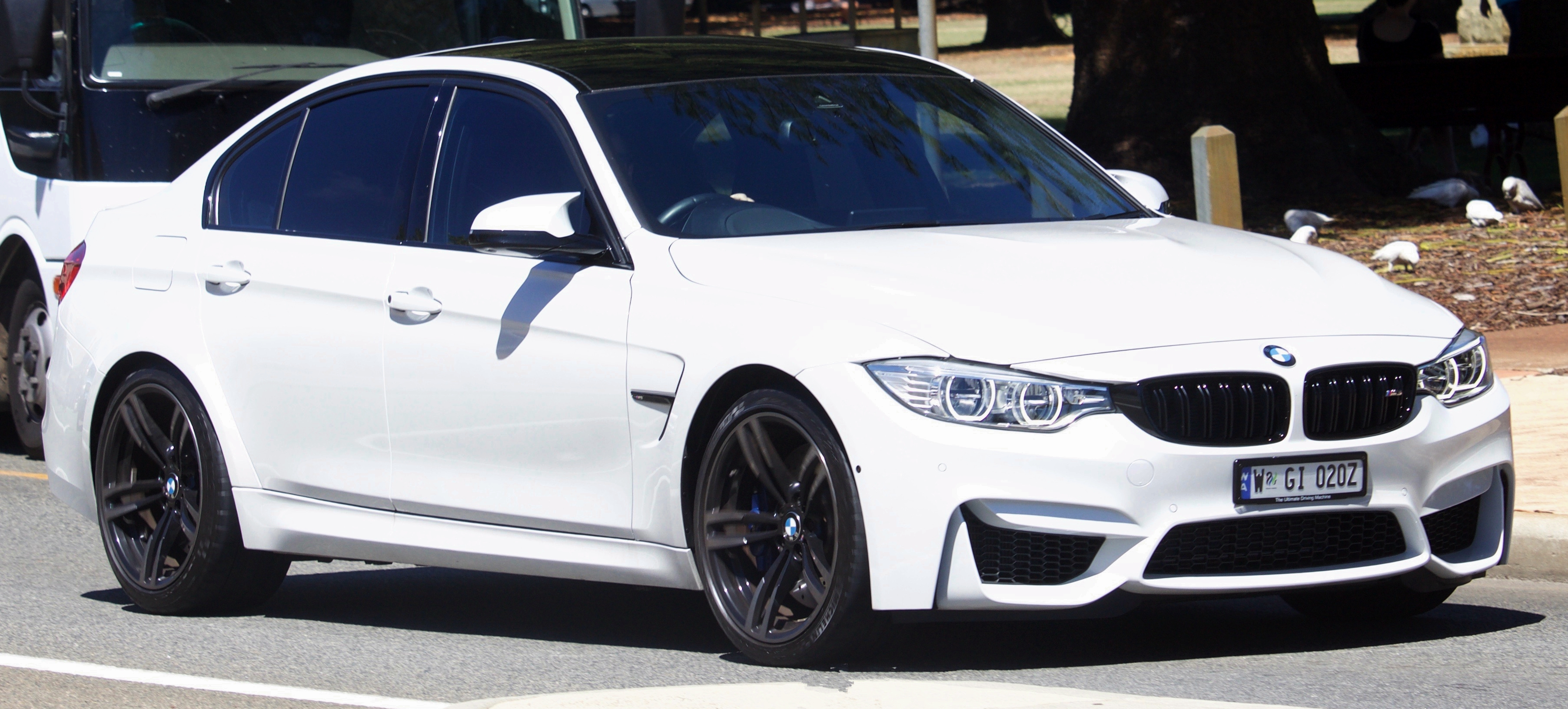 2016-bmw-m3-f80-sedan-2017-11-18-01.jpg 2016-bmw-m3-f80-sedan-2017-11-18-01.jpg